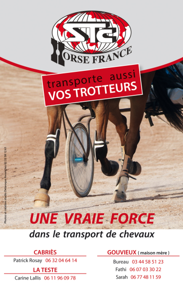 STC/HORSE FRANCE